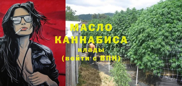 гашик Анива