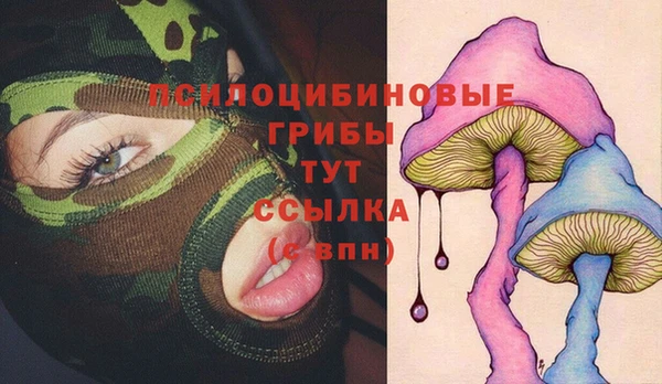 гидропоника Михайловка