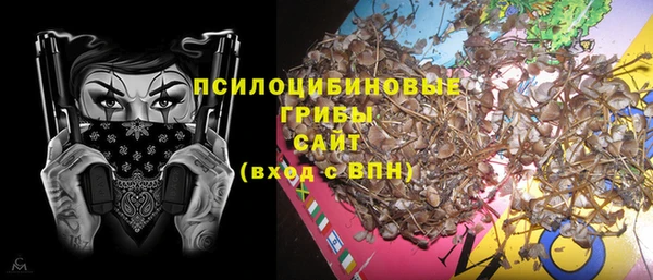 PSILOCYBIN Гусиноозёрск