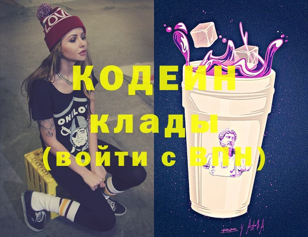 шишки Михайловск