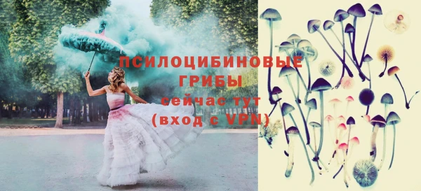 спайс Медногорск