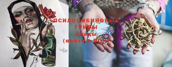 гашик Анива
