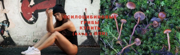 спайс Медногорск
