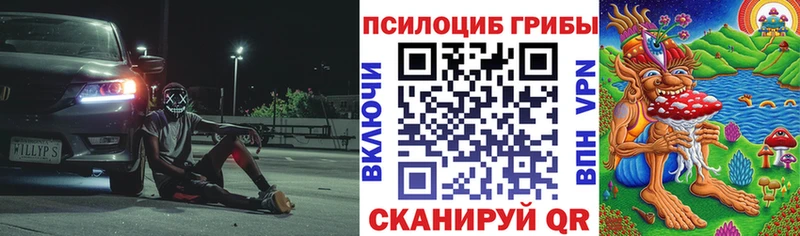 Псилоцибиновые грибы GOLDEN TEACHER  кракен ТОР  Нарткала 
