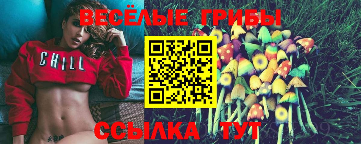 Псилоцибиновые грибы Psilocybine cubensis Нарткала