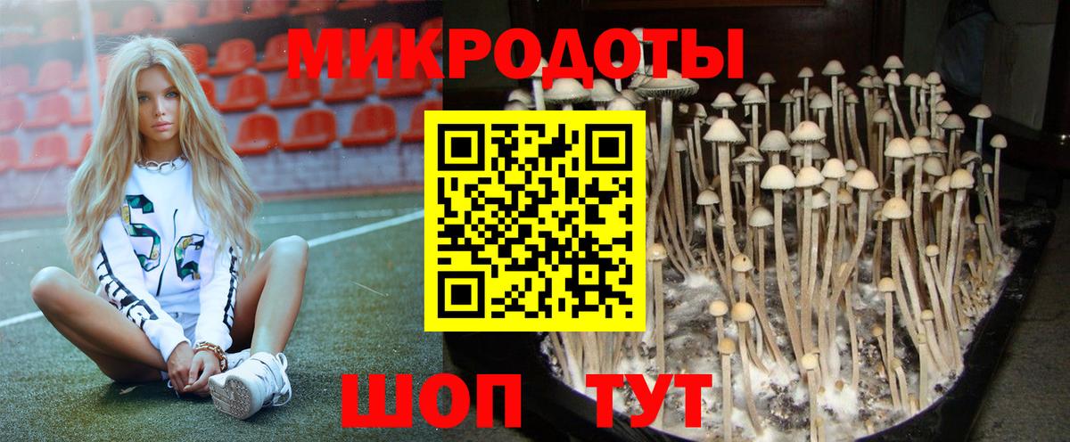 где можно купить наркотик  Псилоцибиновые грибы MAGIC MUSHROOMS  Вход с VPN  Нарткала 