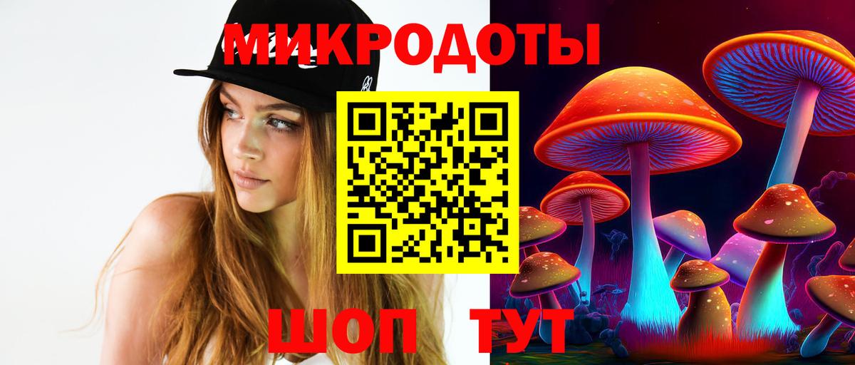 Псилоцибиновые грибы Psilocybe  Нарткала 